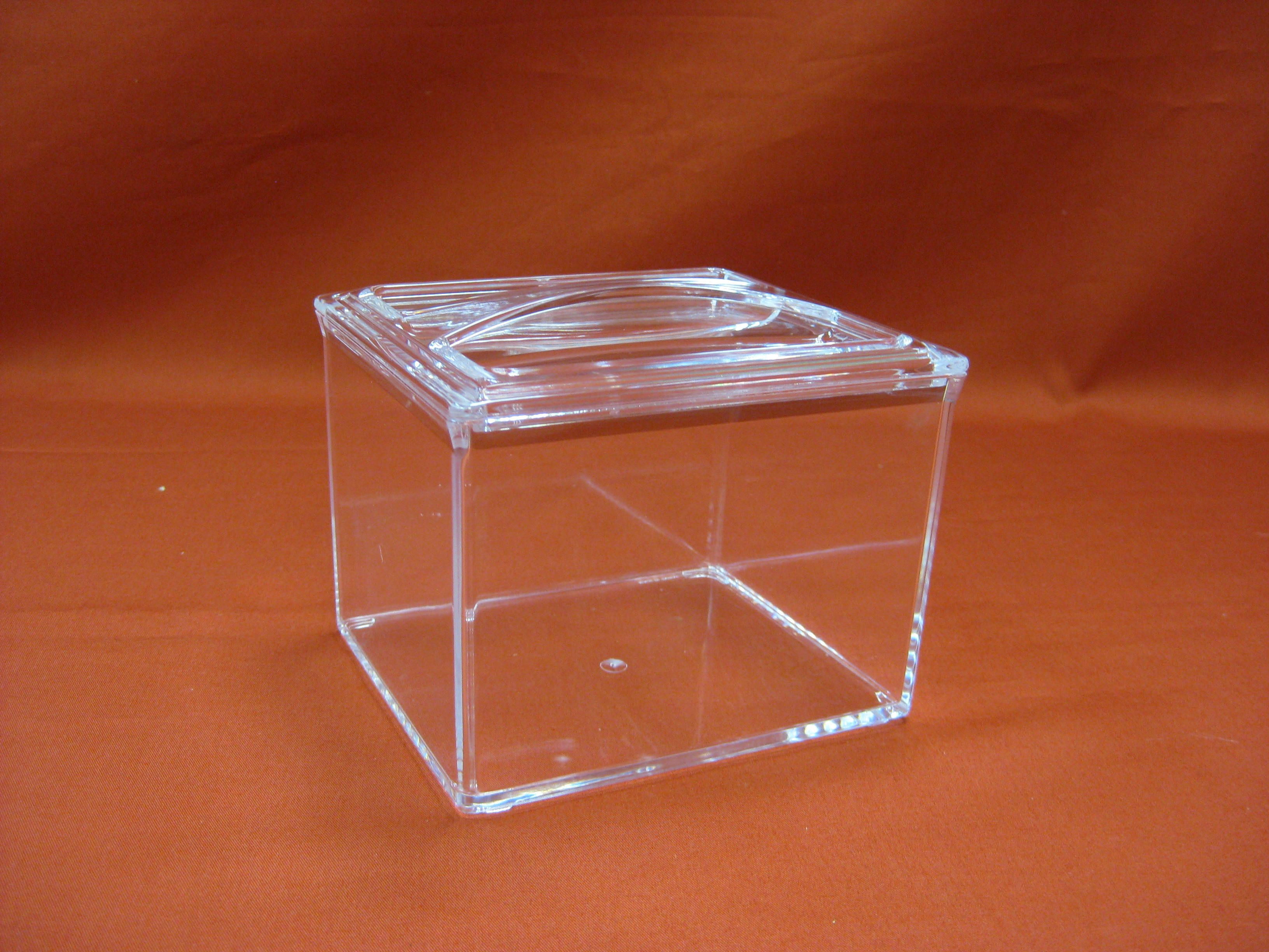Acrylic Sanck Box IV