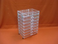 Acrylic Cosmetic Drawer Organization VIII